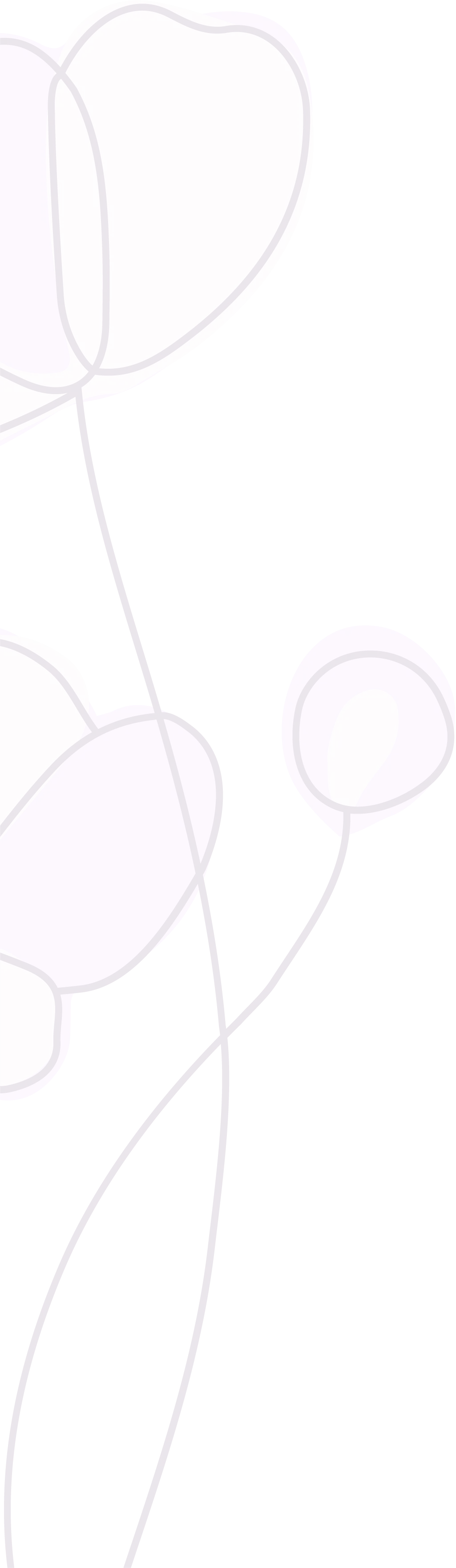 Flores Oferta Niñas Sabias