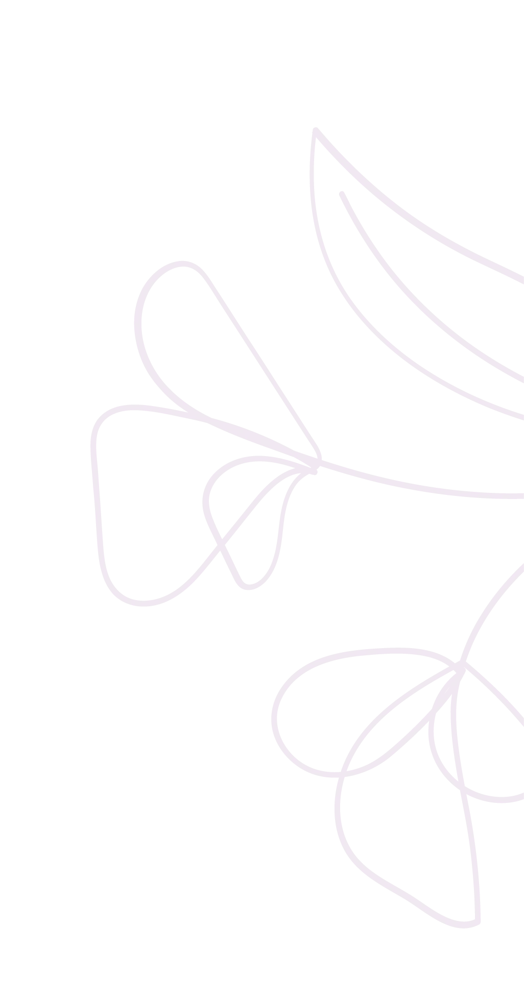 Testimonios Flores Dos